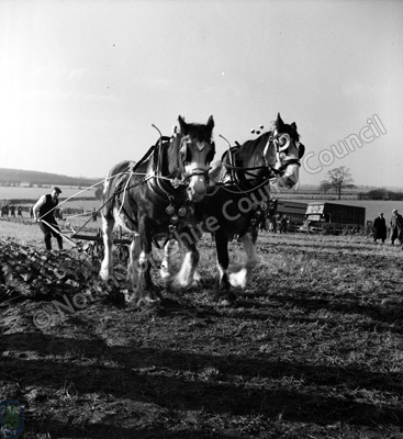 Mr K.A Wilson, Ploughing Champion